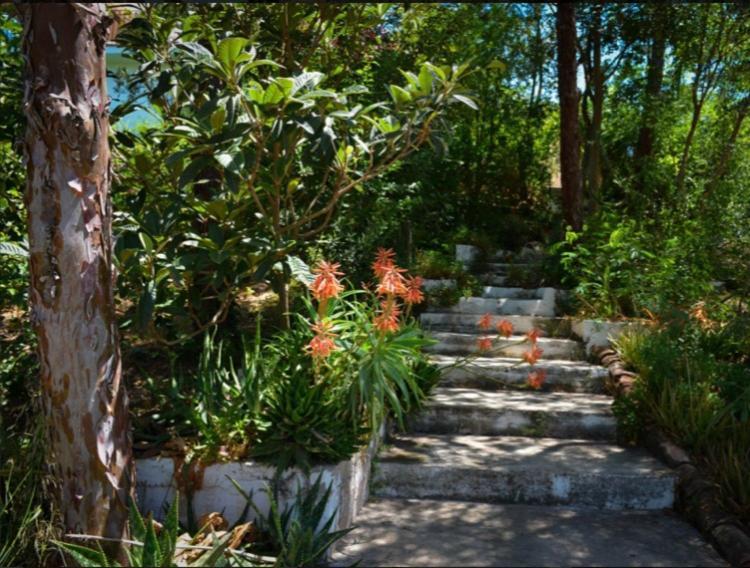 La Barranca De La Barca Bed and Breakfast Alora Εξωτερικό φωτογραφία