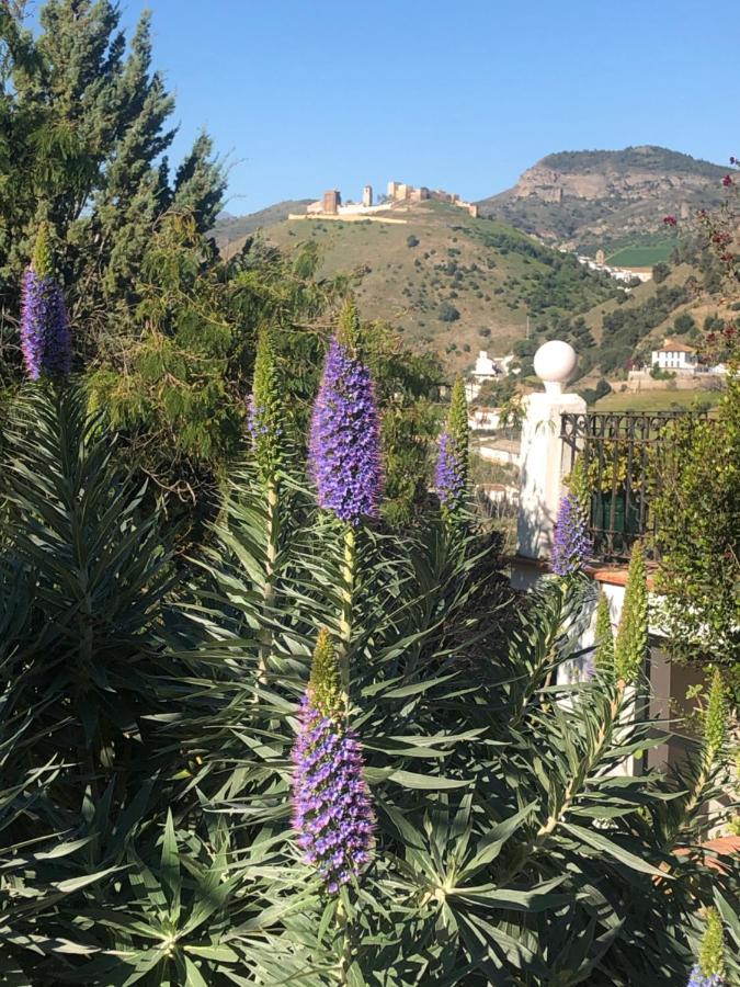 La Barranca De La Barca Bed and Breakfast Alora Εξωτερικό φωτογραφία