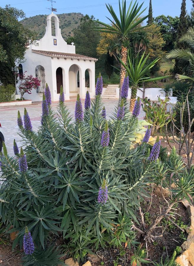 La Barranca De La Barca Bed and Breakfast Alora Εξωτερικό φωτογραφία