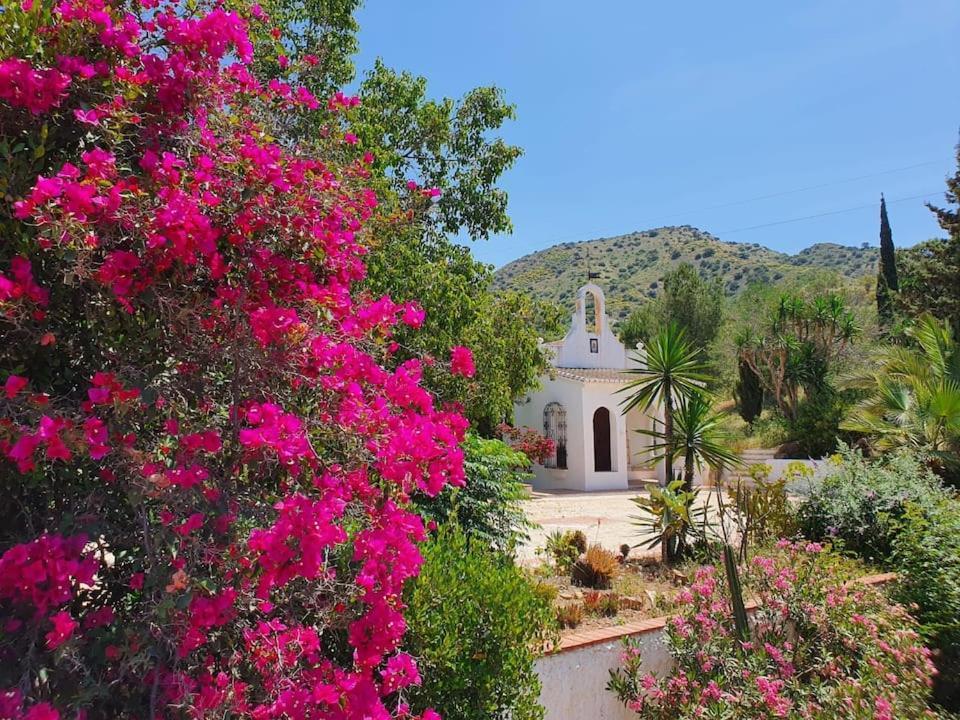 La Barranca De La Barca Bed and Breakfast Alora Εξωτερικό φωτογραφία