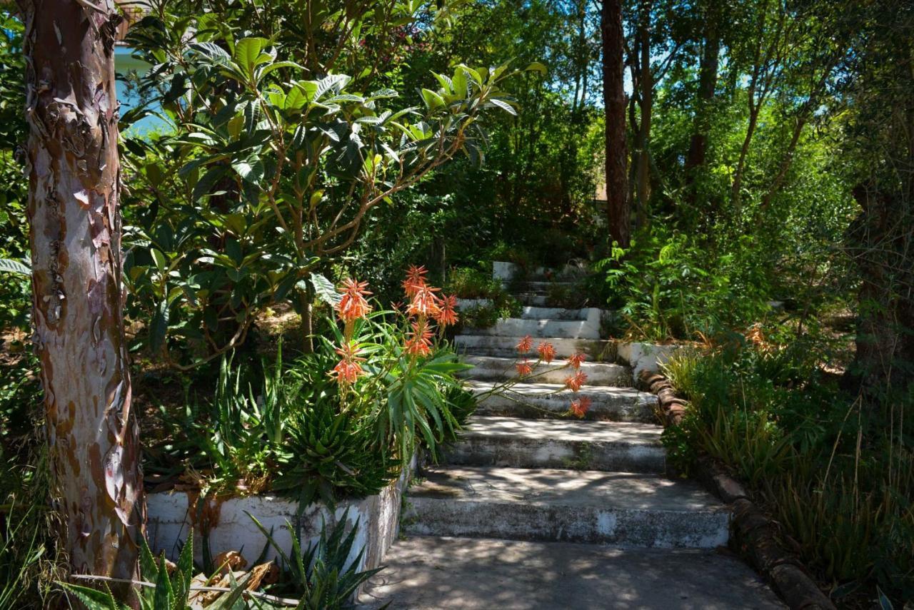 La Barranca De La Barca Bed and Breakfast Alora Εξωτερικό φωτογραφία